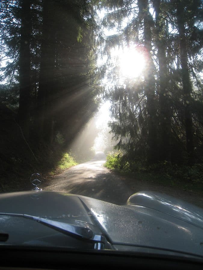 Wald